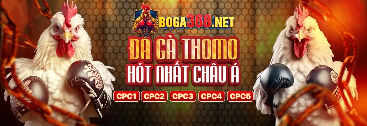 Tải ứng dụng iwin456 win